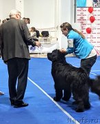 Превью фото № 235049