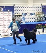 Превью фото № 235050