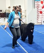 Превью фото № 235052