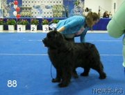 Превью фото № 235076