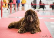 Превью фото № 235084