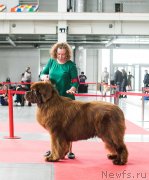 Превью фото № 235093