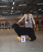 Превью фото № 235103