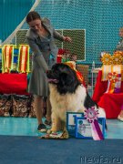 Превью фото № 235149