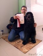 Превью фото № 235181