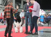 Превью фото № 235209