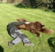 Превью фото № 235231