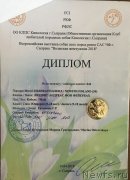 Превью фото № 235253