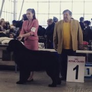 Превью фото № 235295