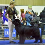 Превью фото № 235299