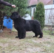 Превью фото № 235301