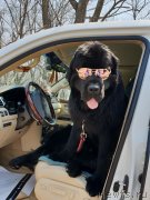 Превью фото № 235359