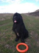 Превью фото № 235371