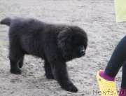 Превью фото № 235385