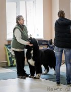 Превью фото № 235388