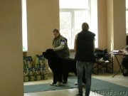 Превью фото № 235389