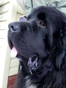 Превью фото № 235390