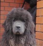 Превью фото № 2354