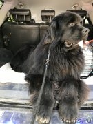 Превью фото № 235455