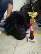 Превью фото № 235457