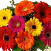 Превью фото № 235489