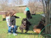 Превью фото № 235492