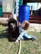 Превью фото № 235497