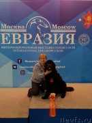 Превью фото № 235512