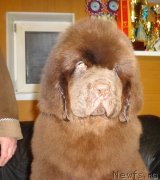 Превью фото № 235553