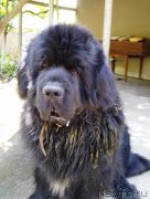 Превью фото № 235599