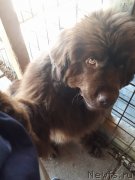 Превью фото № 235649