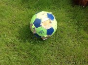 Превью фото № 235651