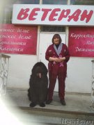 Превью фото № 235660