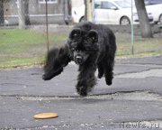 Превью фото № 235691