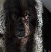 Превью фото № 235761