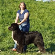 Превью фото № 235791