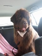 Превью фото № 235812