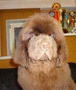 Превью фото № 235818