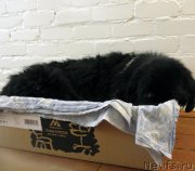 Превью фото № 235841