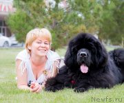 Превью фото № 235850