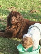 Превью фото № 235866