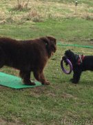 Превью фото № 235868