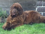 Превью фото № 235873