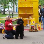 Превью фото № 235896