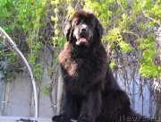 Превью фото № 235898