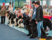 Превью фото № 235903