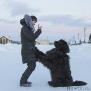 Превью фото № 235929