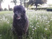 Превью фото № 235936