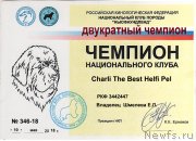 Превью фото № 235941