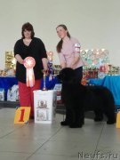 Превью фото № 235954